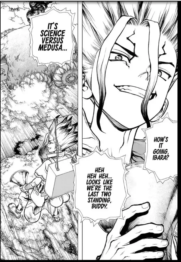 Dr. Stone Chapter 134 19